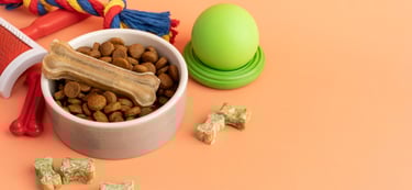 Top 10 Best High Quality Pet Accessories for your Dog Cat Pet Animals