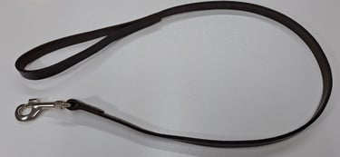 Leather Dog lead