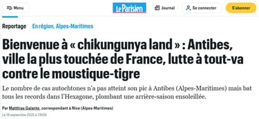 article de presse Antibes chikungunya land 