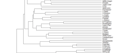 hierarchical clusters based on participants' groups