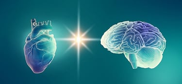 heart brain connection