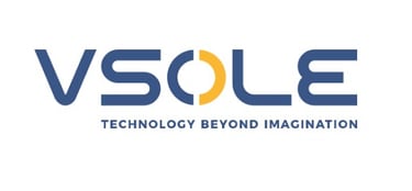 Vsole Inverter & Solar Inverter