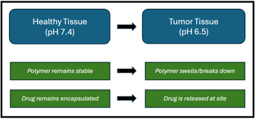 Mechanism of a pH responsive drug delivery smart polymer.