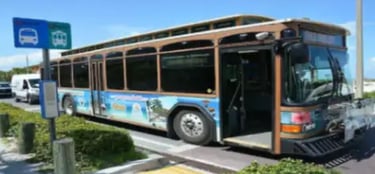 anna-maria-island-free-trolley