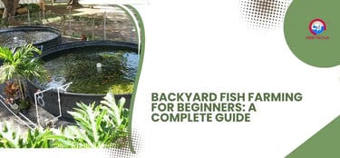 Backyard Fish Farming for Beginners: A Complete Guide