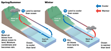 Seasonal wind patterns showing land and sea breezes with temperature-driven air movement