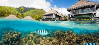 Vista panorâmica de Moorea com lagoa cristalina, recifes de corais, vida marinha e resort de luxo ao fundo