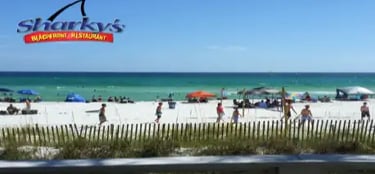 pcb-live-cams