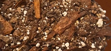 best plants for chunky aroid soil mix