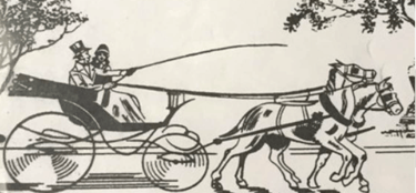 BUGGY RIDE drawing