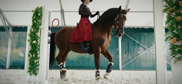 chapskirt riding skirt