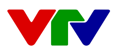 Vietnam News (VTV) Logo