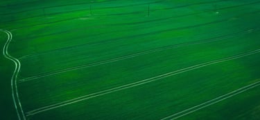 Lietuvos laukai fotografuoti iš drono