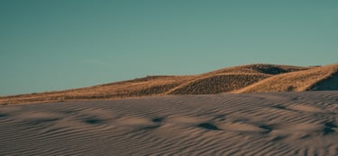 Fotografavimas dronu nidoje kopose