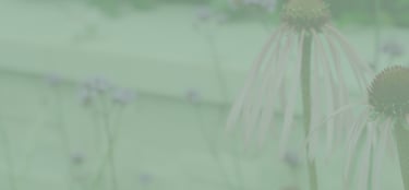 Virtuscapes Technical Services
