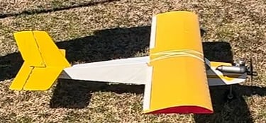 Dave B Yellow Tail (Maiden)