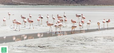 Uyuni Astro & Landscape Photography Tour 6 Day Photo Workshop