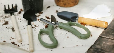 Houseplant pruning shears and tools