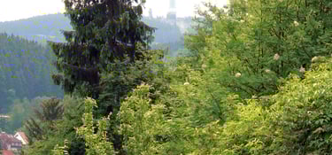 Feldbergblick vom Balkon