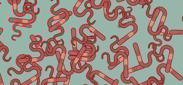 PESTICIDES BIODIVERSITÉ EXTINCTION MASSE VERS DE TERRE