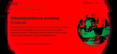 Voksenpsykiatrisk avdeling Vinderen, diakonhjemmet sykehus, Ragnar Nesvåg, Statsforvalteren oslo