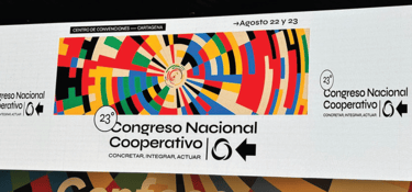 boletin informativo agosto