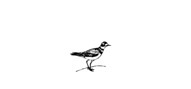 OlivierGuillemet-photographe