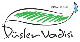 düşler vadisi logo
