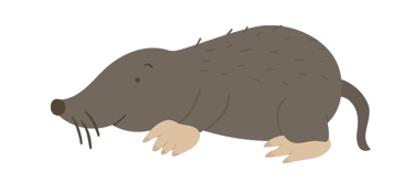 A little brown cartoon mole crawling along the boarder of the text box