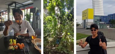 Roger Bardales enjoying fresh sushi rolls, hiking through a dense tropical jungle, and traveling.