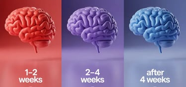 Visual timeline showing what users may expect over time when using Nervovive