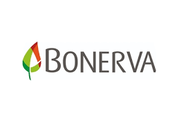 Bonerva césped artificial