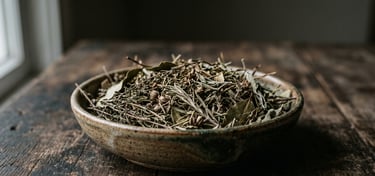 Aromatinės žolelės trauktinei – rozmarinas, čiobreliai, bazilikai