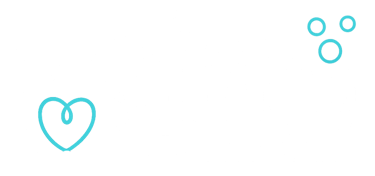 CareСleaning Company Logo