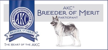 AKC Breeder of Merit