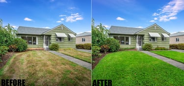 Lawn Replacement 