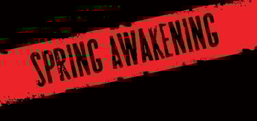 Spring Awakening - Shanghai - Director