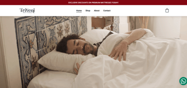 Triveni Mattress
