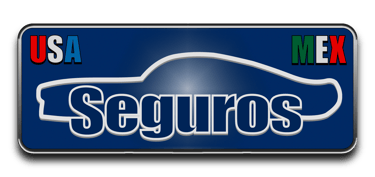 usa-seguros-mex-logo