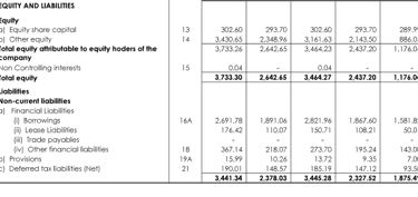 liabilities 1_balance sheet_irm energy ipo analysis_the moat investor