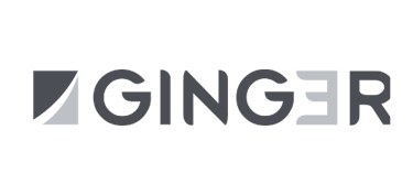 LOGO GINGER