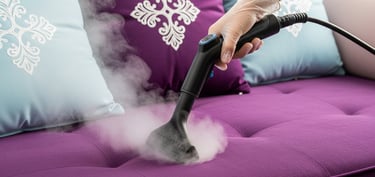 Terraura Yerinde Koltuk Yıkama Buhar Uygulama Antalya