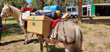 a horse drawn carriage with a horse drawn carriage