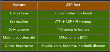 ATP summary