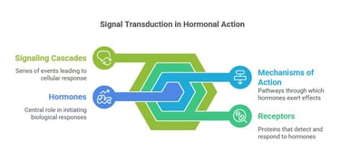 Signal Transduction in Hormonal Action