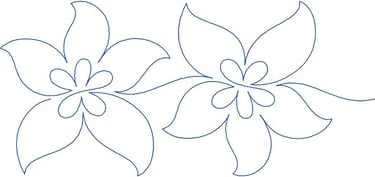 plumeria Urban Elementz