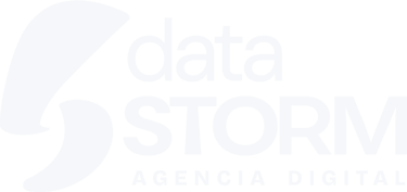 Data Storm Agencia Digital Logo
