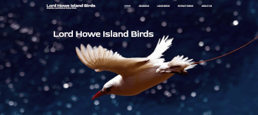Click to go to our Lord Howe Island Birds Website