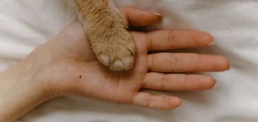 a person holding a cat's paw paw
