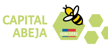 Capital Abeja - Profity